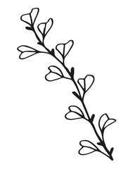 black and white, linear drawing of a branch with leaves, berries, buds, ornamental plant, stylized vector graphics