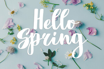 Hello spring text sign on beautiful wildflowers and peony petals flat lay composition on blue background. Stylish tender floral greeting card, handwritten greetings © sonyachny