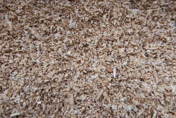 fine oak chips, planer waste