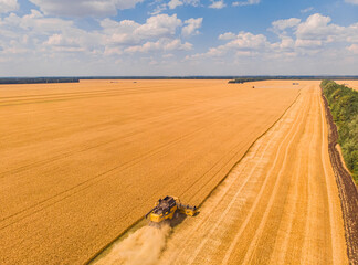 Obraz premium Combine harvester on the field of wheat. Perfect summer view from flying drone of harvesting wheat on sunset.