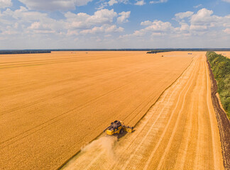 Aerial view of summer harvest. Combine harvester harvesting large field.