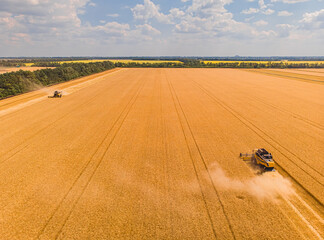 Aerial view of summer harvest. Combine harvester harvesting large field.