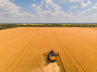 Combine harvester on the field of wheat. Perfect summer view from flying drone of harvesting wheat...