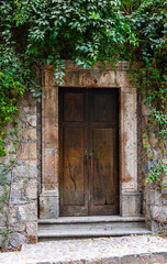 Fototapeta na wymiar Very old cracked wooden door with a stone frame and a creeper on the wall
