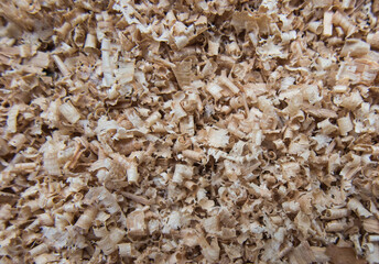 fine oak chips, planer waste