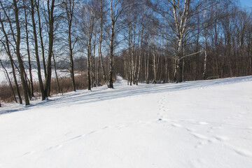 ice shell on a lake covered with snow on a sunny winter day as a background