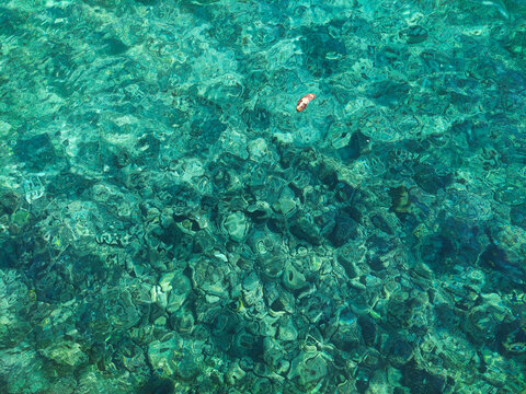 Shoe floating on clear water in Valcane beach, in Pula, Istria, Croatia, Erope. Showing sea pollution in Adriatic sea.