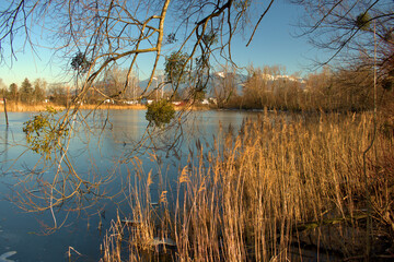 Lovely view over a lake in Oberriet in Switzerland 11.1.2021