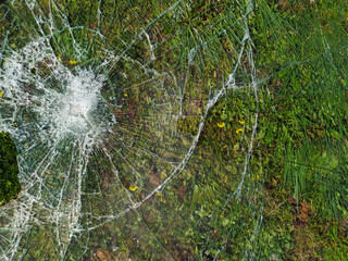 Shattered broken glass from the window of the buss station lies on the green surface, on the ground and grass in springtime