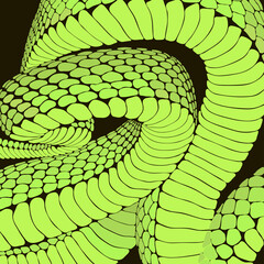 decorative vector texture of twisted green poisonous snake - 415899381