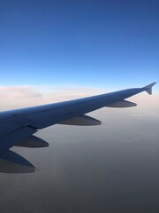 Wing of airplane