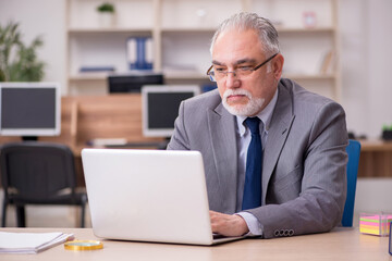 Old male employee working in the office