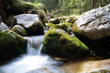 Stream in Chocholowska valley, Tatra Mountains, Poland
