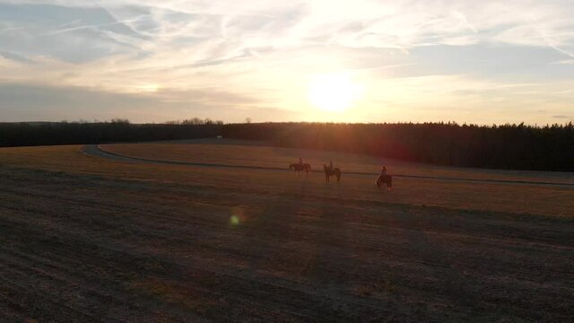 Aerial of Horse Grazing in Field during Sunset with Riders