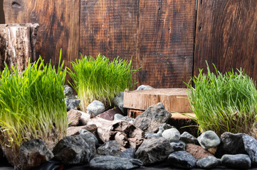 Decoration of stones and wood. Rubble and wood stumps with grass.