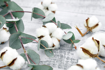 Cotton plant white flowers and green eucalyptus leaves on grey wooden background © mikeosphoto