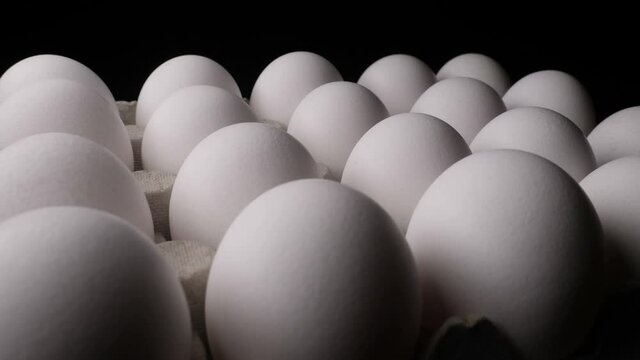white raw chicken eggs in cardboard egg box 