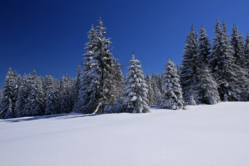 Polana Kopieniec in winter, Tatra Mountains, Poland