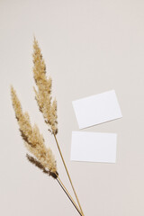 Mockup with blank paper business card and dried pampas grass over beige pastel background with trendy shadow and sunlight. Minimal business brand template. Flat lay, top view.