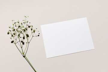 Mockup with blank paper sheet card and white small flowers over beige pastel background with trendy...