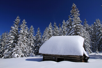 Shepherd shelters in Polana Kopieniec, Tatra Mountains, Poland  © bayazed