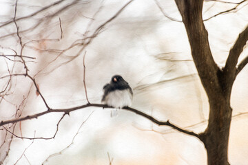 Bird on a branch in the snow