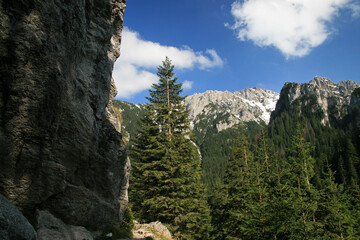 Fototapeta na wymiar Landscape of Koscieliska Valley, Tatra Mountains, Poland