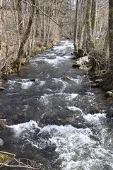torrent auvergnat