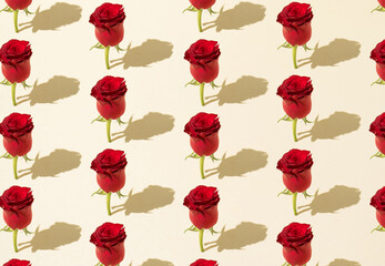 Pattern made with red roses on a beige background. Woman's day and nature concept.