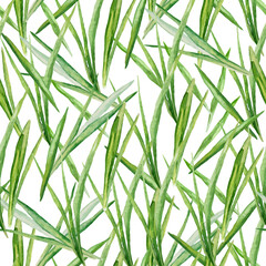 Fototapeta premium Vector seamless pattern with watercolor green grass. A repeating background with the green leaves on white