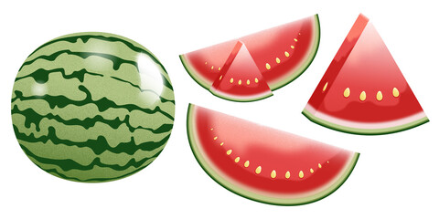 Ripe juicy watermelon whole half quarter segment. Realistic watermelon set.  isolated in white background. 