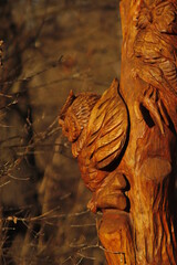 drewniana  figura  ptaka  zrobiona  w  starym  pniu - 415908763
