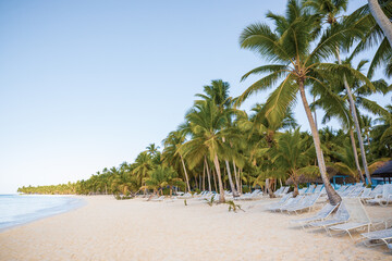 Obraz na płótnie Canvas Beautiful caribbean beach on Saona island, Dominican Republic