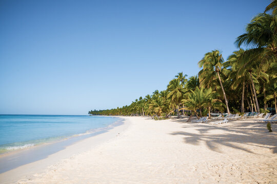 Secluded beach on Saona Island, La Romana, Dominican Republic