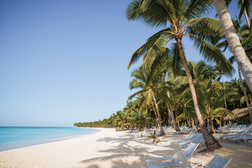 Fototapeta na wymiar Tropical white sandy beach with palm trees. Saona Island, Dominican Republic. Vacation travel background.