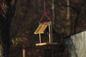 drewniany  karmnik  dla  ptaków  zawieszony  na  drzewie - 415910525