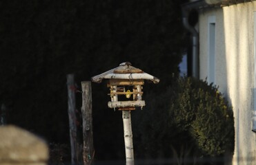 mały  drewniany  karmnik  dla  ptaków  w  ogrodzie - 415910794