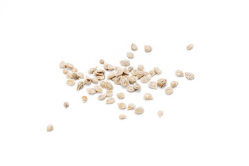 group of tomato seeds isolated on white background. tomato sowing cut out