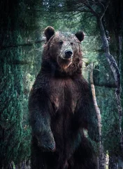 Foto op Plexiglas double exposure of brown bear and forest wildlife conservation © Melinda Nagy
