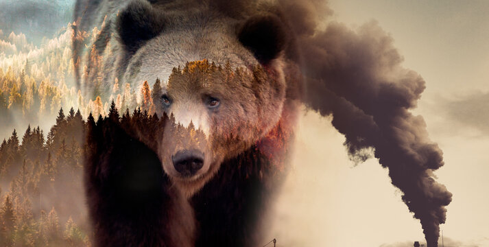 factory smoke covering green forest and wildlife double exposure global warming climate change
