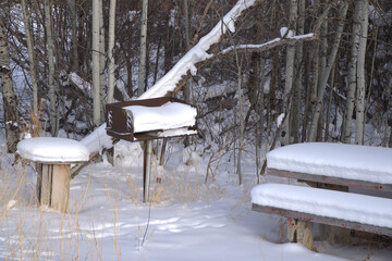 Picnic grill and table snowed in for the winter.