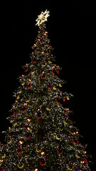 Warsaw, Old Town, Christmas Tree © Jakub