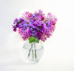 bright beautiful still life with fresh lilac in a glass vase