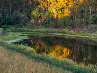 Quiet Backwater with Sunlight and Reflections