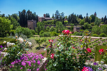 Flowerbed  in Generalife gardens. Alhambra  palace , Granada town - awe springtime!