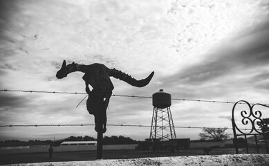 Cow skull at the entrance to a Texas ranch, cowboys and American folklore