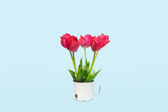 Beautiful spring bouquet of five red tulip flowers