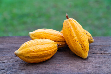 Cacao fruit, raw cacao beans, Cocoa pod on wooden background.
