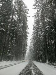 A snow covered highway winds its way through a forest