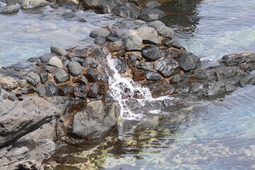 CHARCOS EN LA BAJAMAR